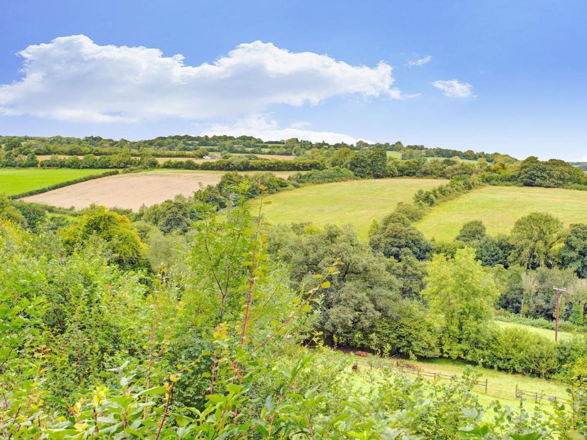 Hill View Holiday Home With Garden تونتون المظهر الخارجي الصورة